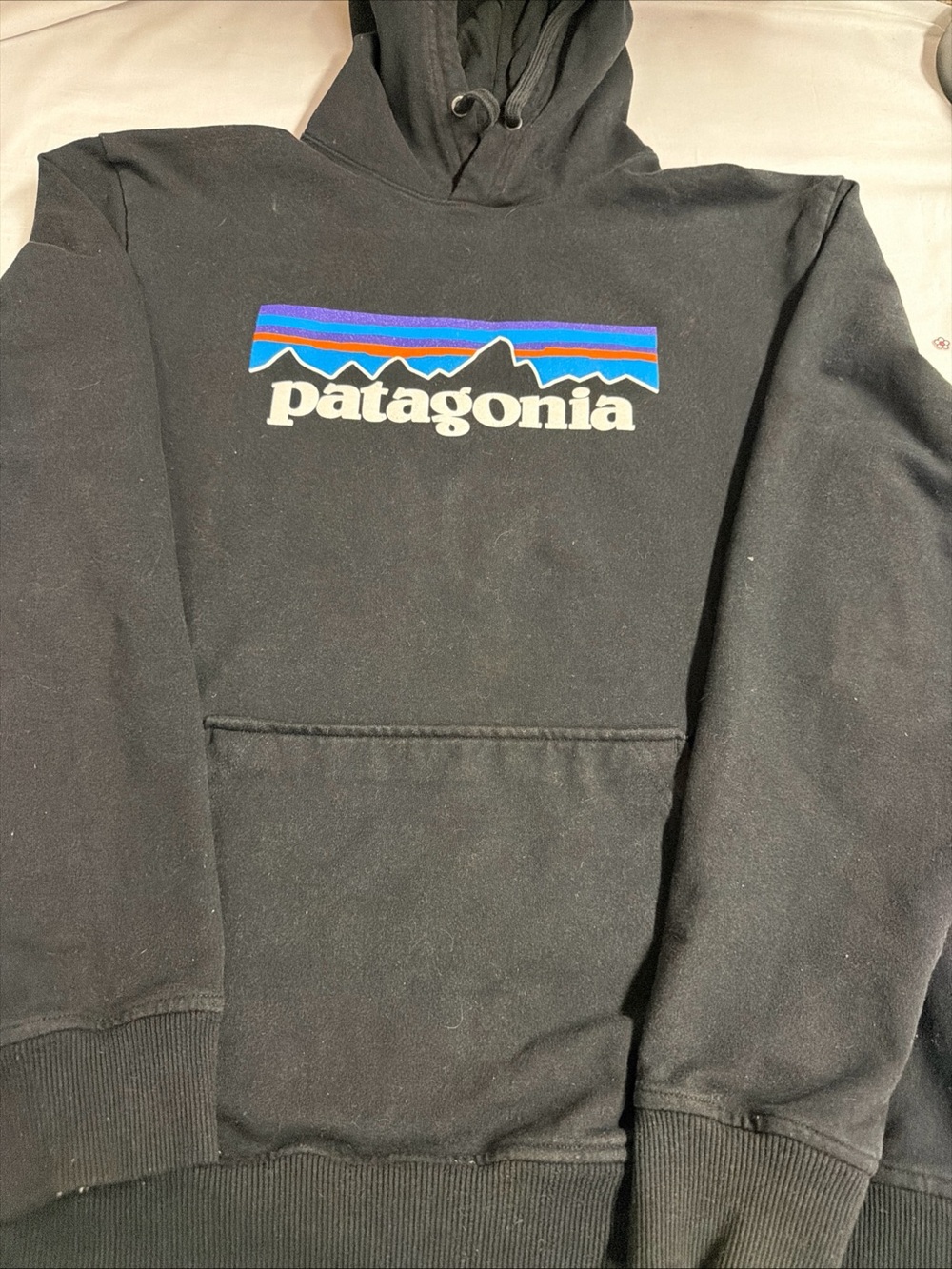 Patagonia Black Hoodie with Blue & Purple Mountain Stripe Logo